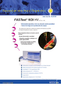 FASTest® KOI HV - MEGACOR Diagnostik GmbH