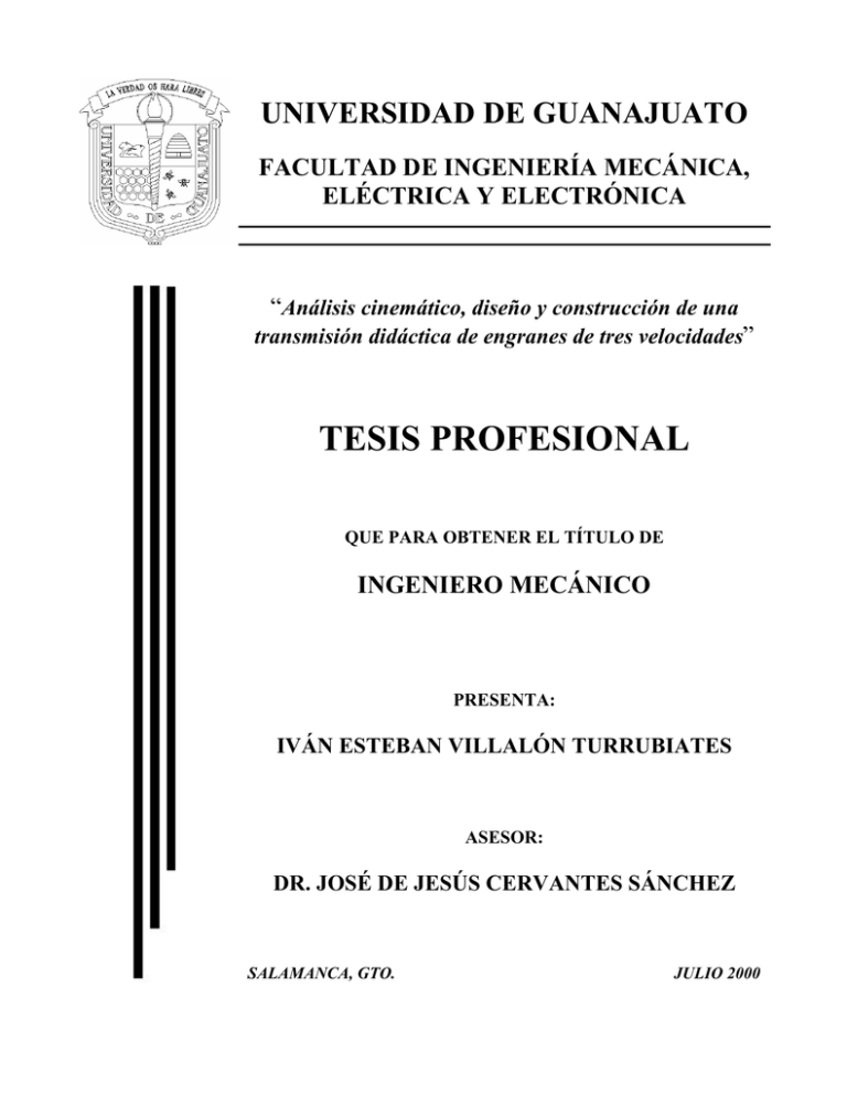 TESIS PROFESIONAL