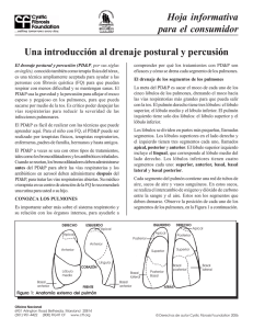 Una introducción al drenaje postural y percusión