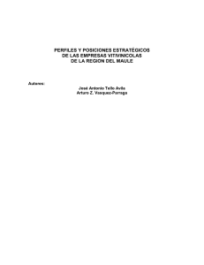 perfiles y posiciones estratégicos de las empresas vitivinicolas