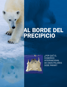 POR QUÉ el comercio internacional de osos polares debe