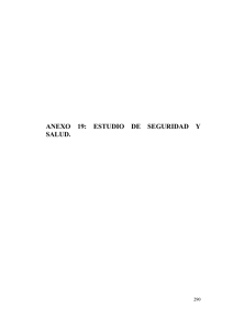 ANEXO 19: ESTUDIO DE SEGURIDAD Y SALUD.