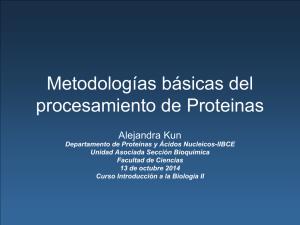 Metodologías básicas del procesamiento de Proteinas