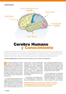 Cerebro Humano y Conocimiento