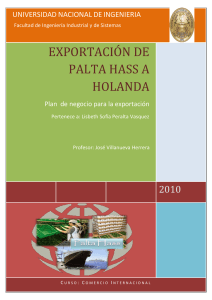 EXPORTACIÓN DE PALTA HASS A HOLANDA