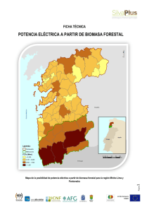potencia eléctrica a partir de biomasa forestal
