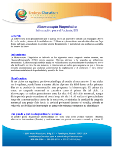 Histeroscopía Diagnóstica - Embryo Donation International