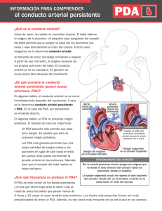 el conducto arterial persistente - NICU