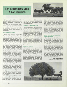 Revista de extensión agraria