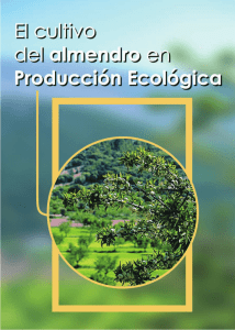 El cultivo del almendro en producción ecológica