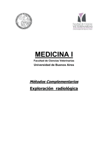 medicina i - Facultad de Ciencias Veterinarias