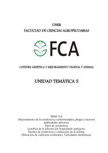 Resistencia a Enfermedades y plagas. Mejoramiento de la resistencia