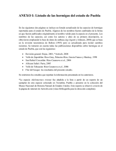 ANEXO I: Listado de las hormigas del estado de Puebla
