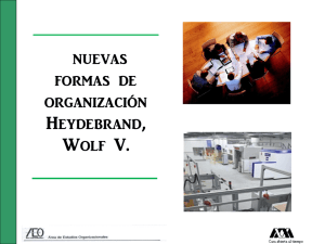 nuevas formas de organización Heydebrand, Wolf V.