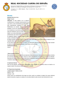 ministerio de agricultura - Real Sociedad Canina de España