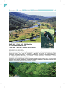 rios cuenca media guadiana.cdr - Gobierno de Castilla