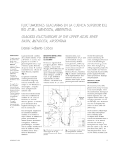 Fluctuaciones Glaciarias en la Cuenca Superior del Río Atuel