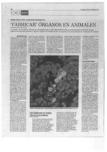 `FABRICAR` ÓRGANOS EN ANIMALES