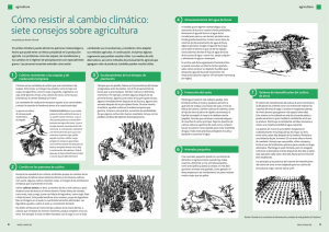 Cómo resistir al cambio climático: siete consejos sobre agricultura