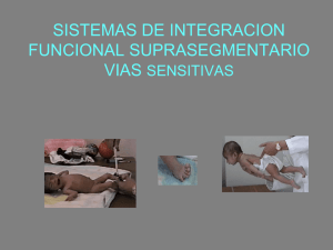 SESION 7 y 8 SISTEMAS DE INTEGRACION SENSITIVA Y
