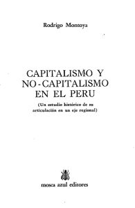 capitalismo y no - capitalismo en el peru