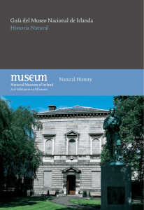 Guía del Museo Nacional de Irlanda Historia Natural