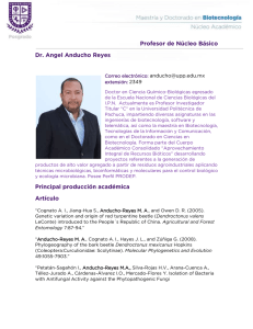 Profesor de Núcleo Básico Dr. Angel Anducho Reyes Principal