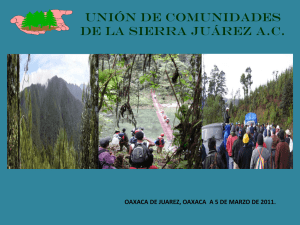 unión de comunidades de la sierra juárez ac