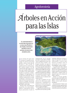 Arboles en Accion para las Islas