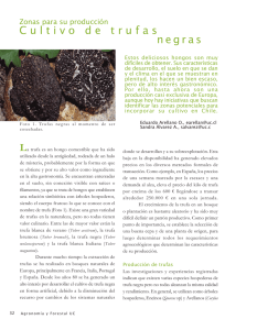 Cultivo de trufas negras - Pontificia Universidad Católica de Chile