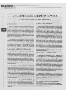 MECANISMOS DE REGENERACION HEPATICA