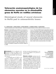 202,28 KB Descargar Artículo - Revista Cirugía Osteoarticular