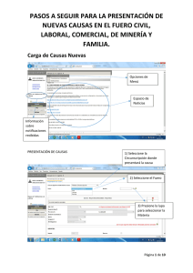 Instructivo Presentación de Causas.