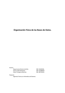 Organización Física de las Bases de Datos.