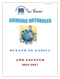 oCTAVO de Básica Año Lectivo 2016-2017