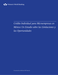 Crédito Individual para Microempresas en México