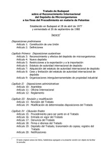 Disposiciones sustantivas Capítulo II: Disposiciones