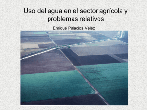 Uso del agua en el sector agrícola y problemas relativos