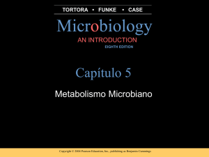 Metabolismo Microbiano