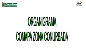 II. Estructura Orgánica