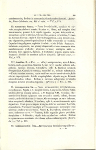 (Austra- lia, Nova-Caledonia, ins. Viti et vicin.) — Yid.p. 375.