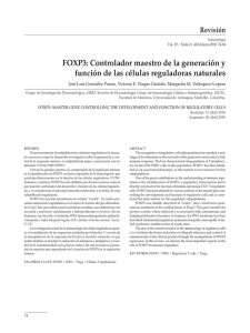 FOXP3: Controlador maestro de la generación y función de las