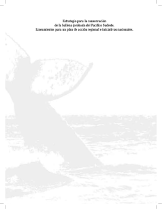 Estrategia para la conservación de la ballena jorobada del