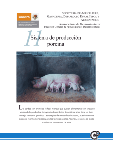 11Sistema de producción porcina