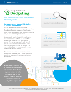 InsightUnlimited Budgeting