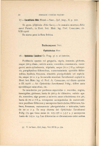 17-—Cucurbitaria Ribis Niessl.—Saca, Syll.fuvg., II, p. 322. St. pycn.