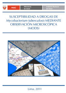 SUSCEPTIBILIDAD A DROGAS DE Mycobacterium tuberculosis