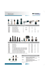 VALVULAS DE NEUMATICOS Pág. 20 - 33 (tamaño: 3,85