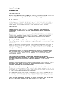 Secretaría de Energía HIDROCARBUROS Resolución 318/2010