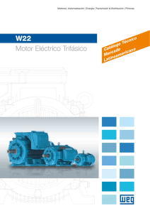 W22 Motor Eléctrico Trifásico